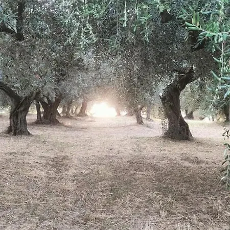 Privatunterkunft Hamacas Abruzzo