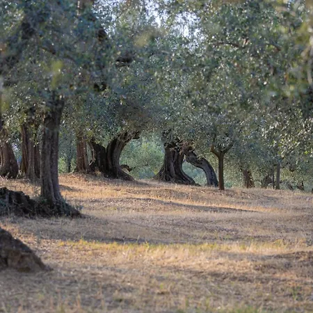 Privatunterkunft Hamacas Abruzzo *