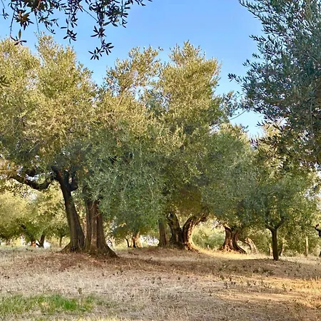 Privatunterkunft Hamacas Abruzzo