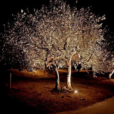 Hamacas Abruzzo Accommodatie bij particulieren *