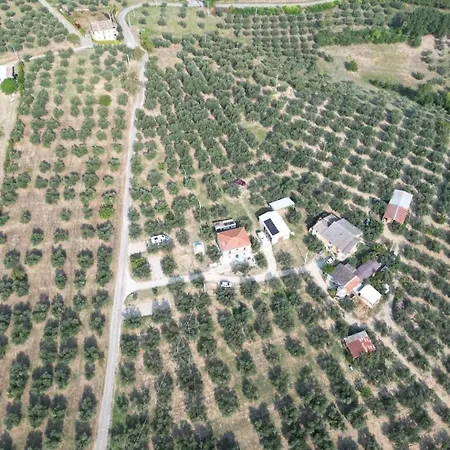 Hamacas Abruzzo Pianella (Pescara)