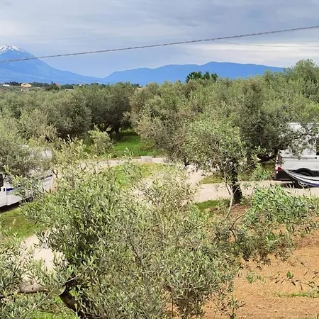 Accommodatie bij particulieren Hamacas Abruzzo Pianella (Pescara)