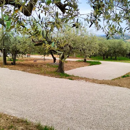 Hamacas Abruzzo