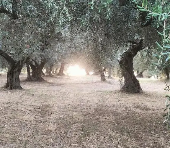 Alloggio in famiglia Hamacas Abruzzo