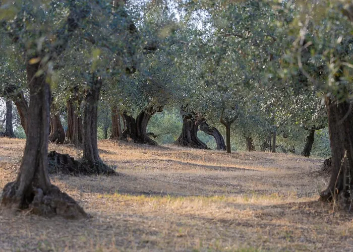 Alloggio in famiglia Hamacas Abruzzo *