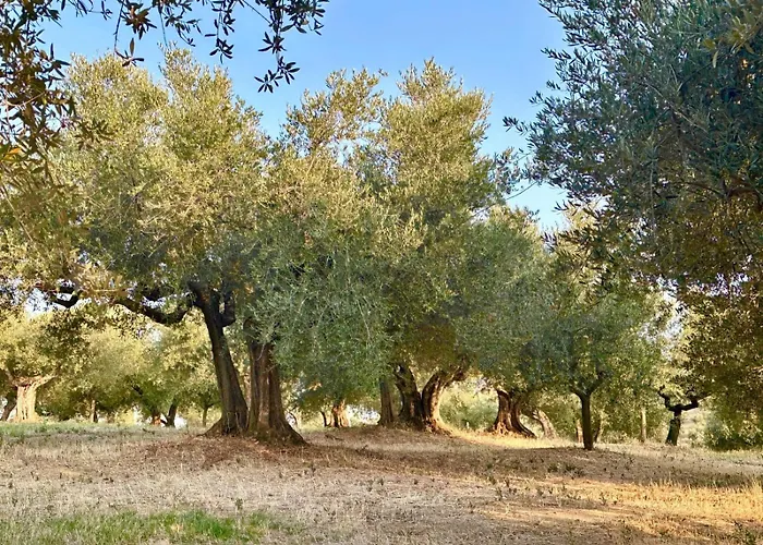 Alloggio in famiglia Hamacas Abruzzo