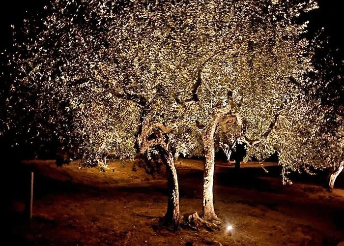 Hamacas Abruzzo Alloggio in famiglia *