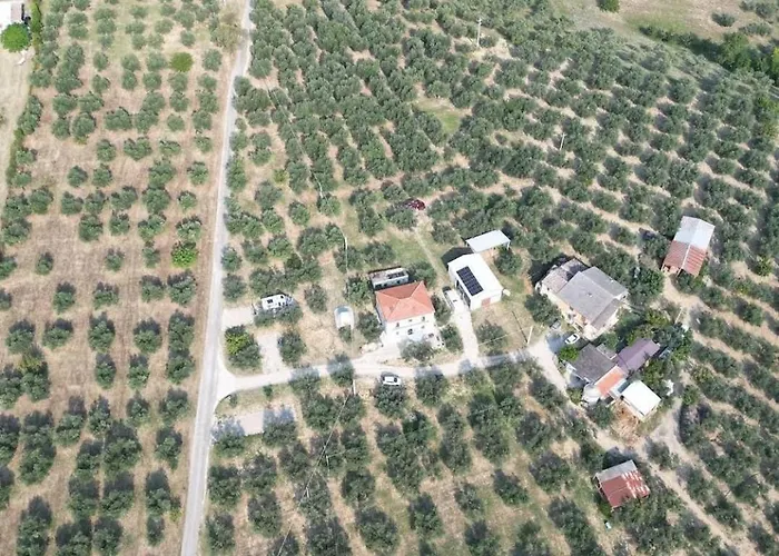 Hamacas Abruzzo Pianella (Pescara)
